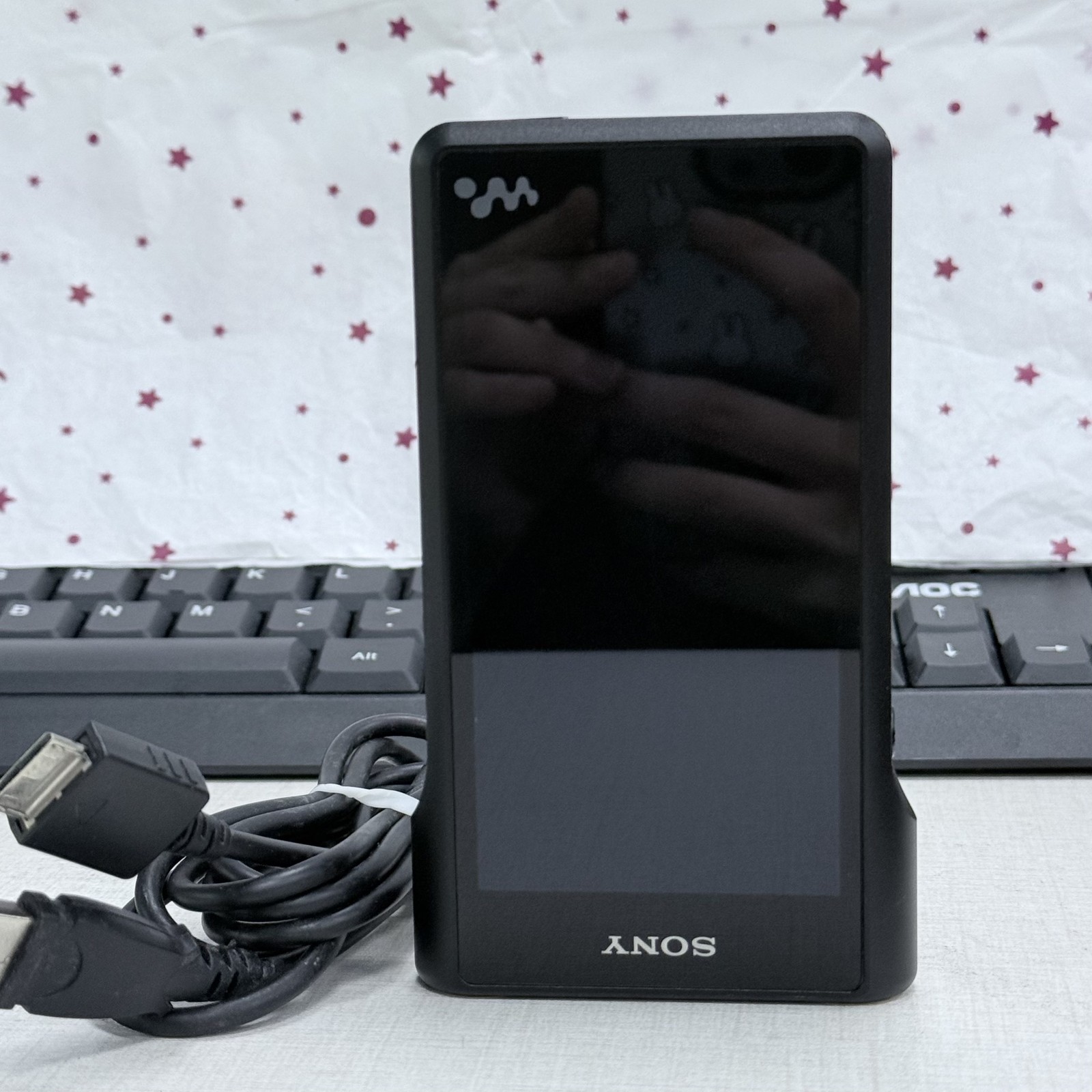 SONY NW-WM1A Black WM1 Series Walkman Digital Audio Player English 95%New