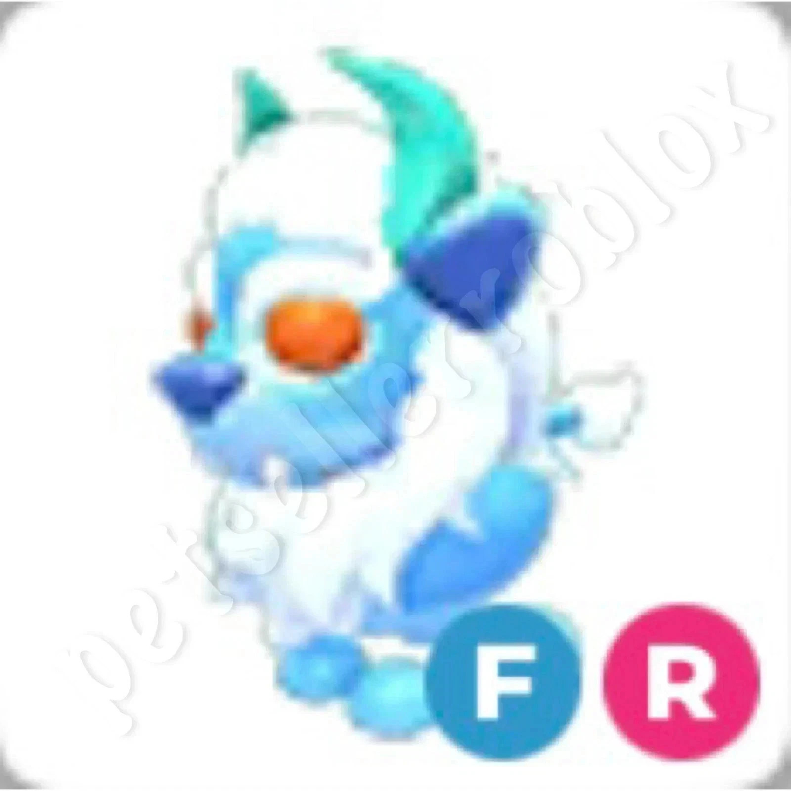 Haetae | NFR | Adopt Now