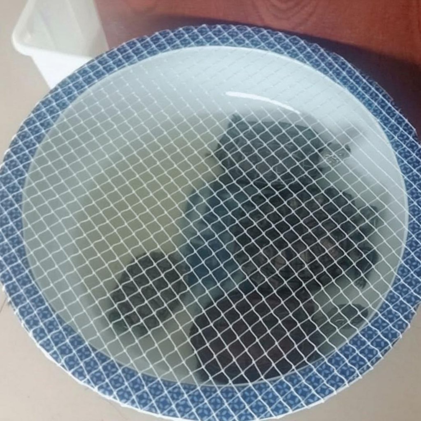 Round Aquarium Mesh Lid, Jump Guard, Cat Proof Cover, Anti-Jumping Mesh Cover