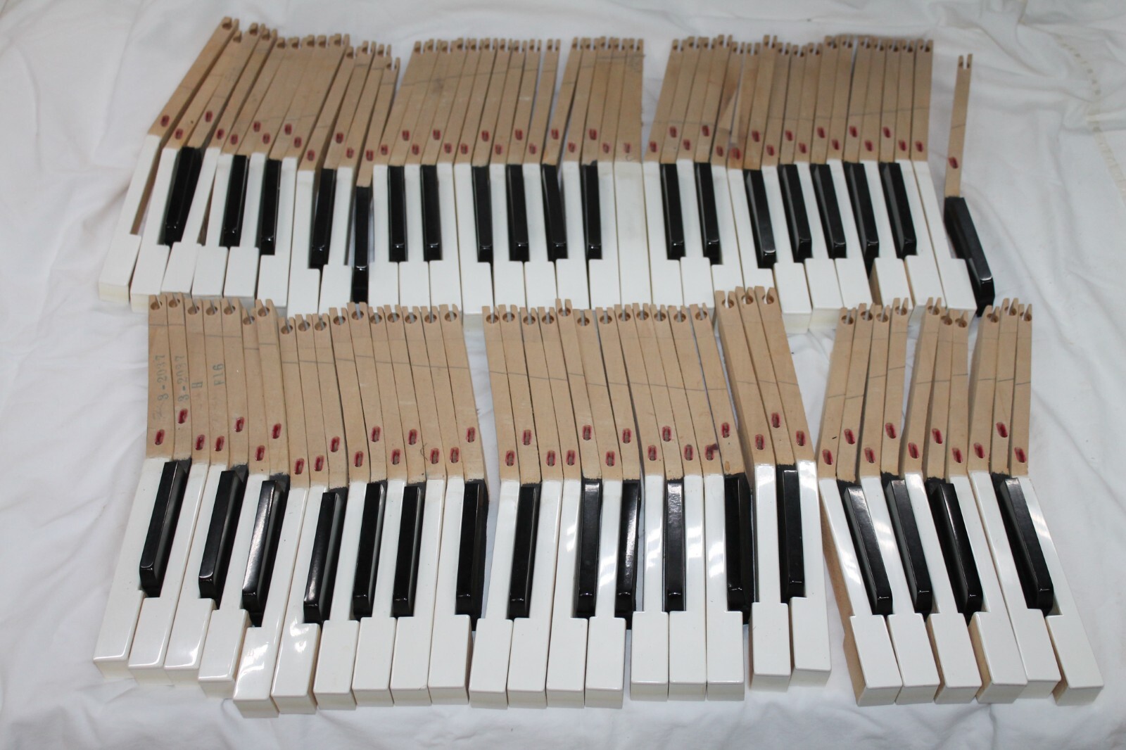 Piano Keys Black/White (88) Key Set (L1)