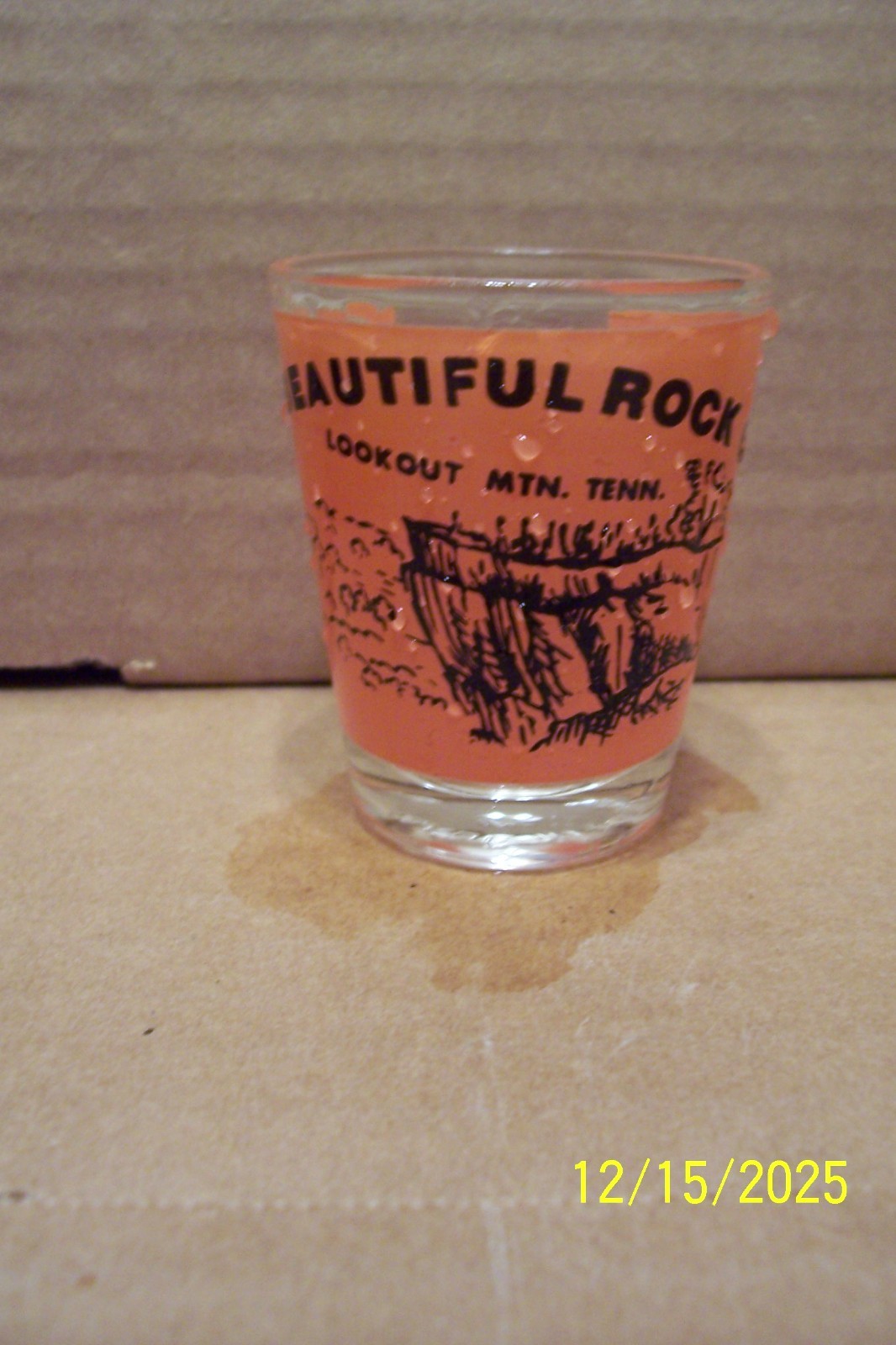 Lookout Mountain Tennessee Souvenir Shot Glass