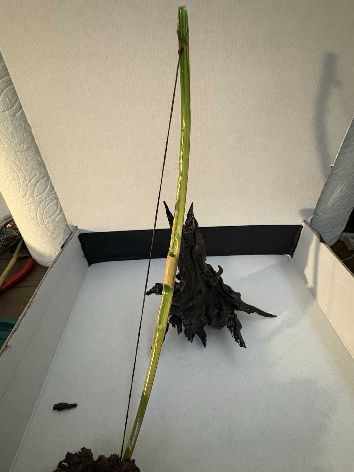 Miniature I Handmade 11 Inch Bamboo long  Bow Green