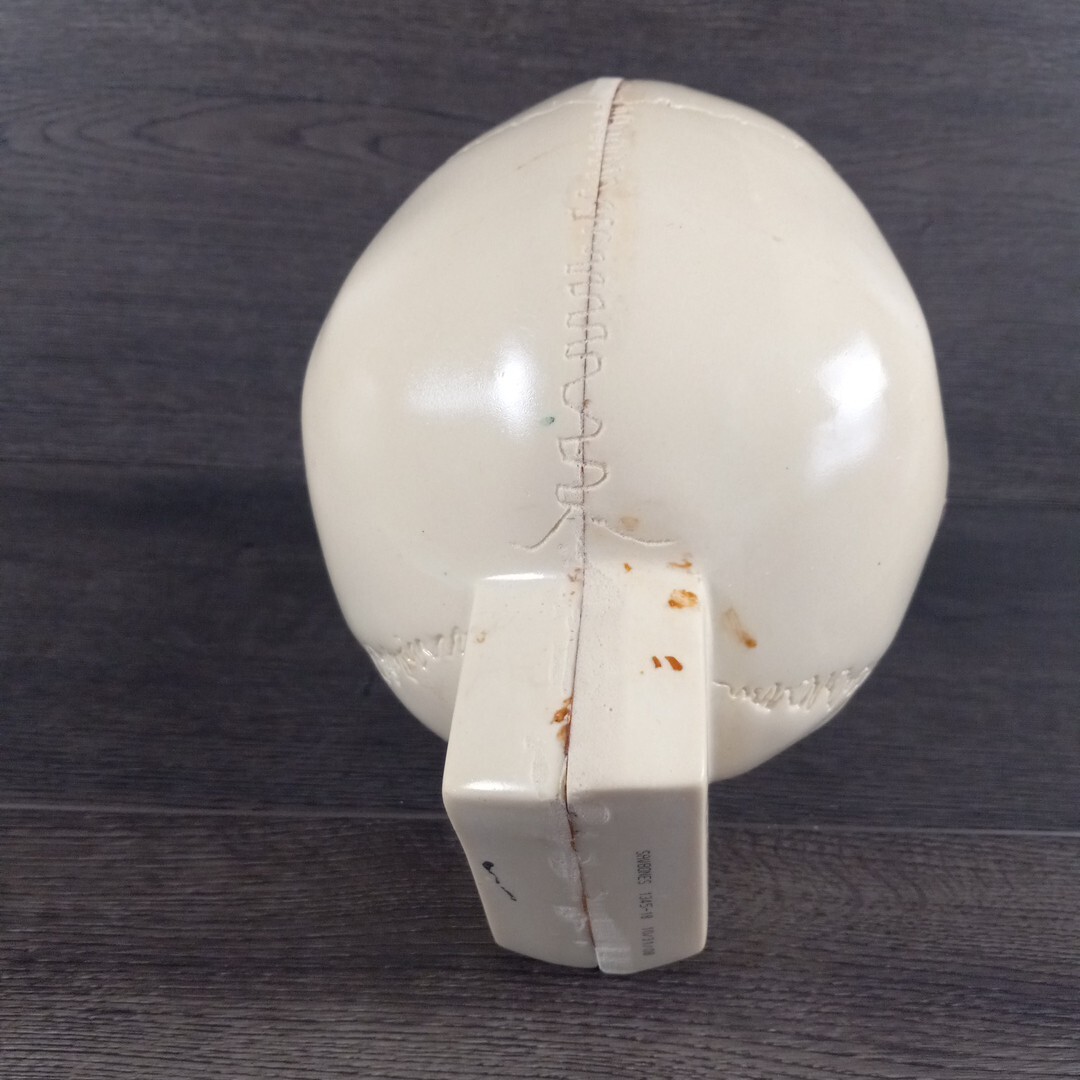 Vintage Sawbones Plastic Human Anatomy Skull