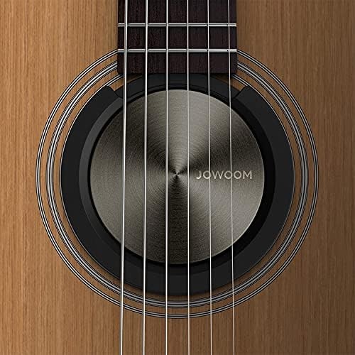 ReBalance Pro Acoustic Guitar Humidifier, Multi Purpose Stylish Stainless Feedba
