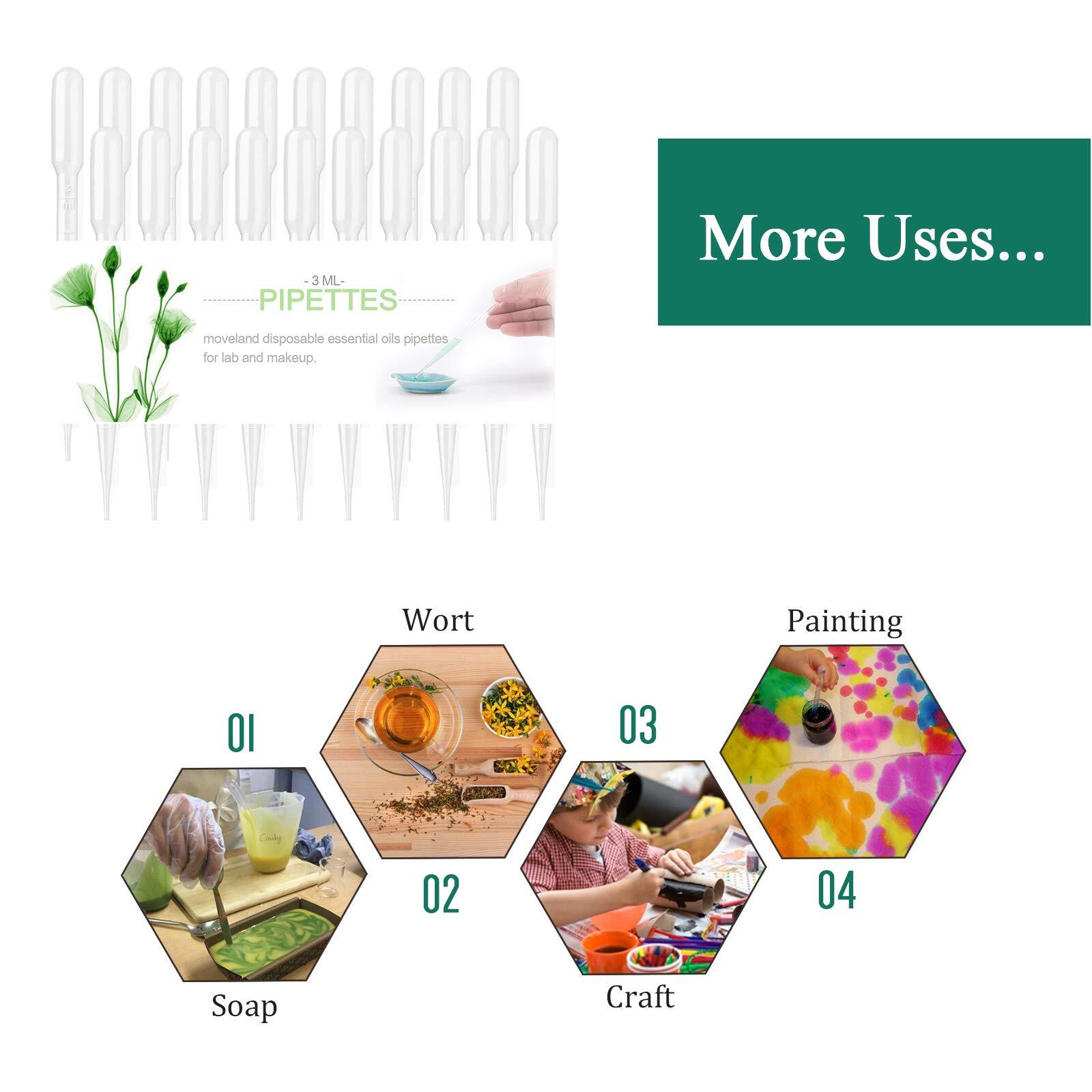 200 Pcs 3ml Disposable Plastic Transfer Pipettes for Science Experiment Crafts