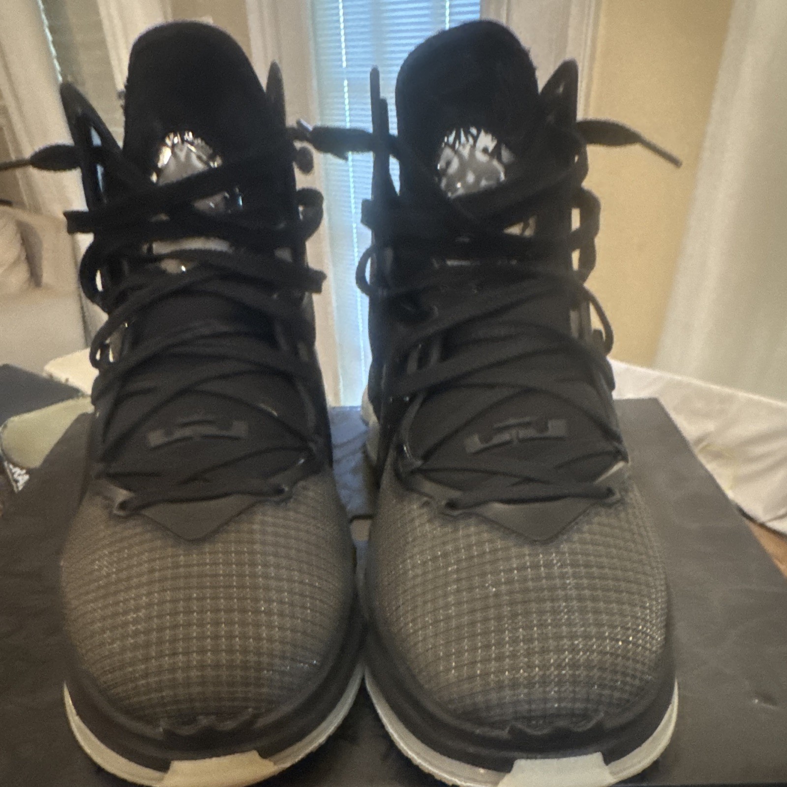 Nike LeBron 19 "Black Green Glow size 12