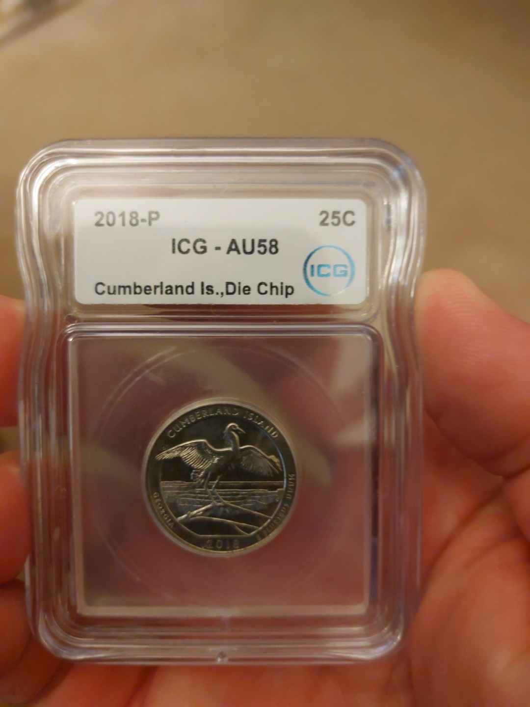 Cumberland Island Error Coin. Large Die Chip On Wing.