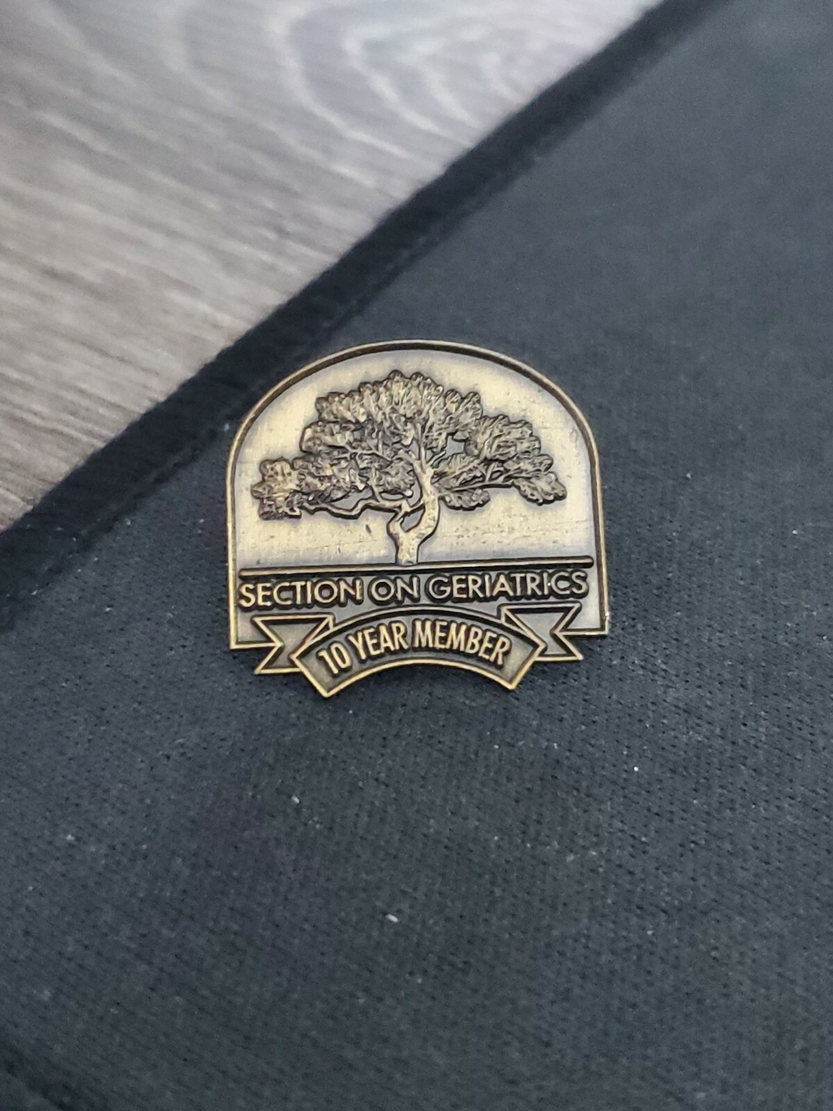 Section on Geriatrics 10 year member tree design pin do