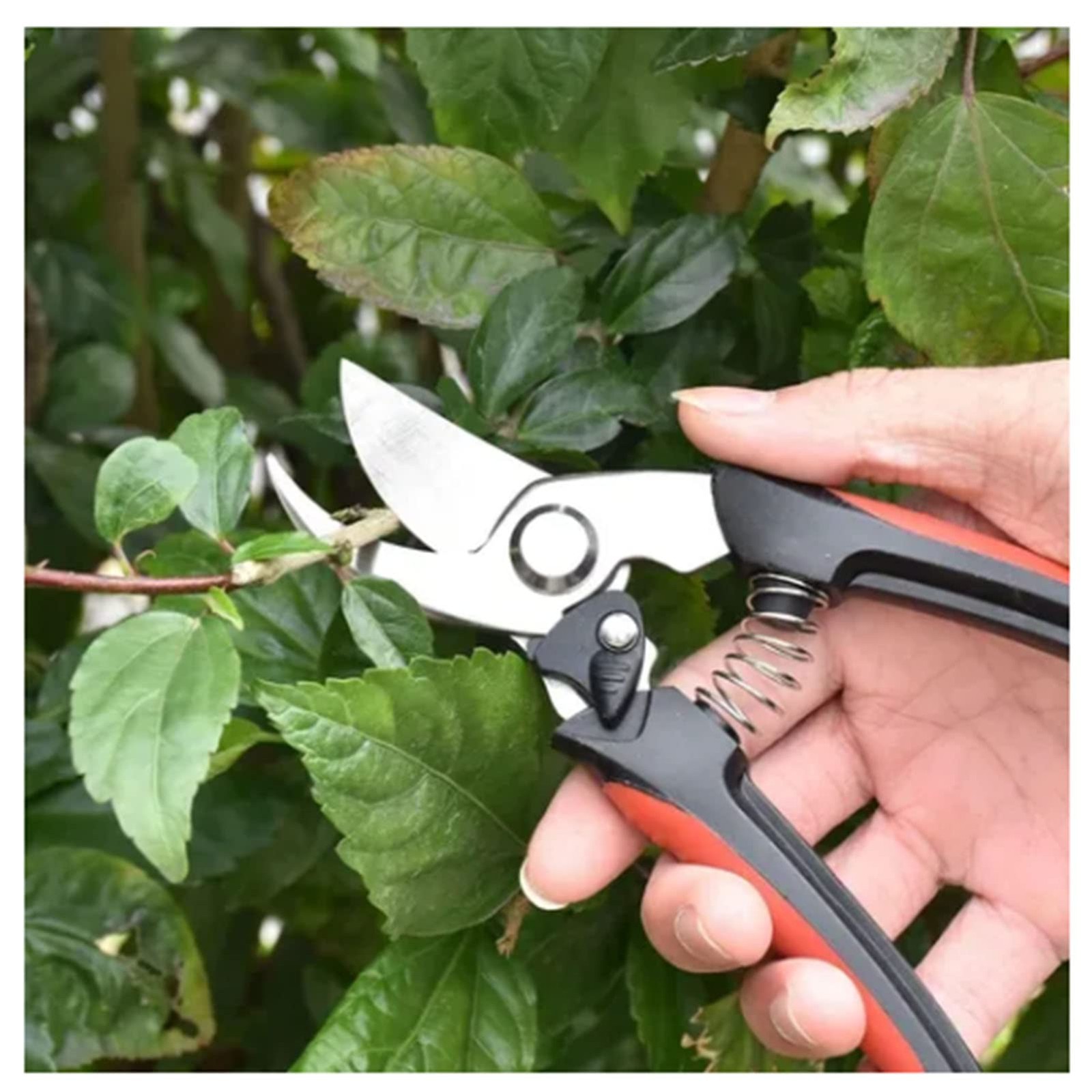 Tiiyee 2 Pack Garden Pruning Shears, Scissors for Precise Red+black