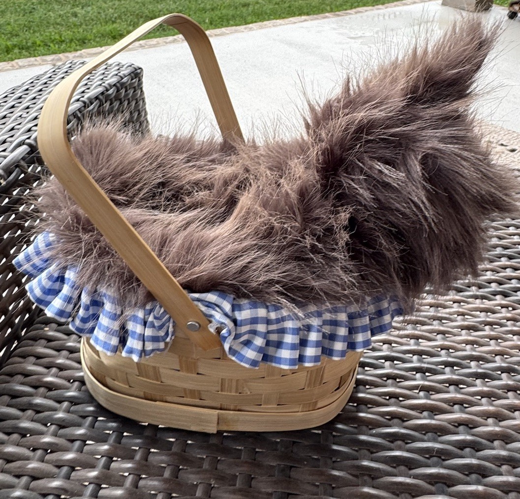 Rasta Imposta TOTO Wizard of Oz plush dog toy basket Halloween Theater Cosplay