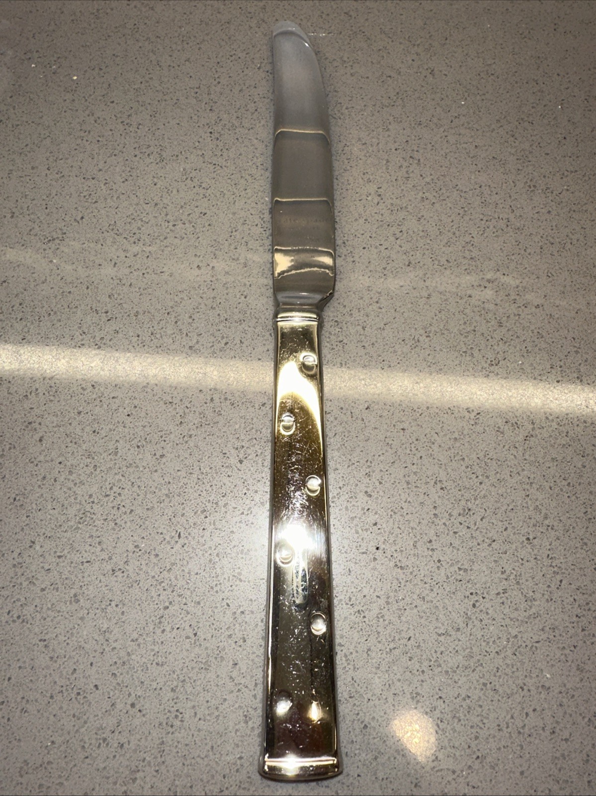 Kate Spade By Lenox Larabee Dot Stainless Steel Place/Dinner Knife 9 1/4"