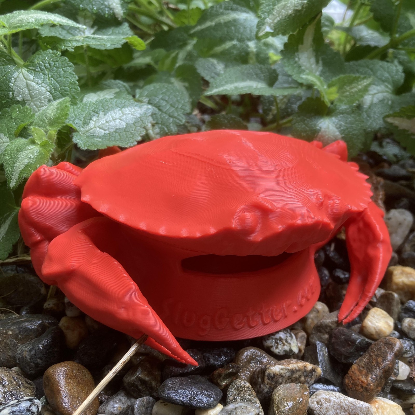 Crab Style Slug Trap to Protect Your Plants From Destructive Slugs and Snails