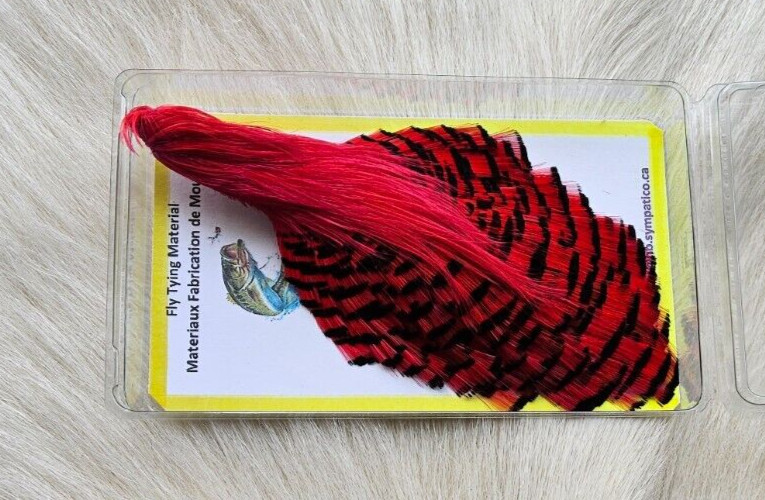 Golden Pheasant Cape Feather.  Color;  Hot Fushia. Grade "A". Fly .