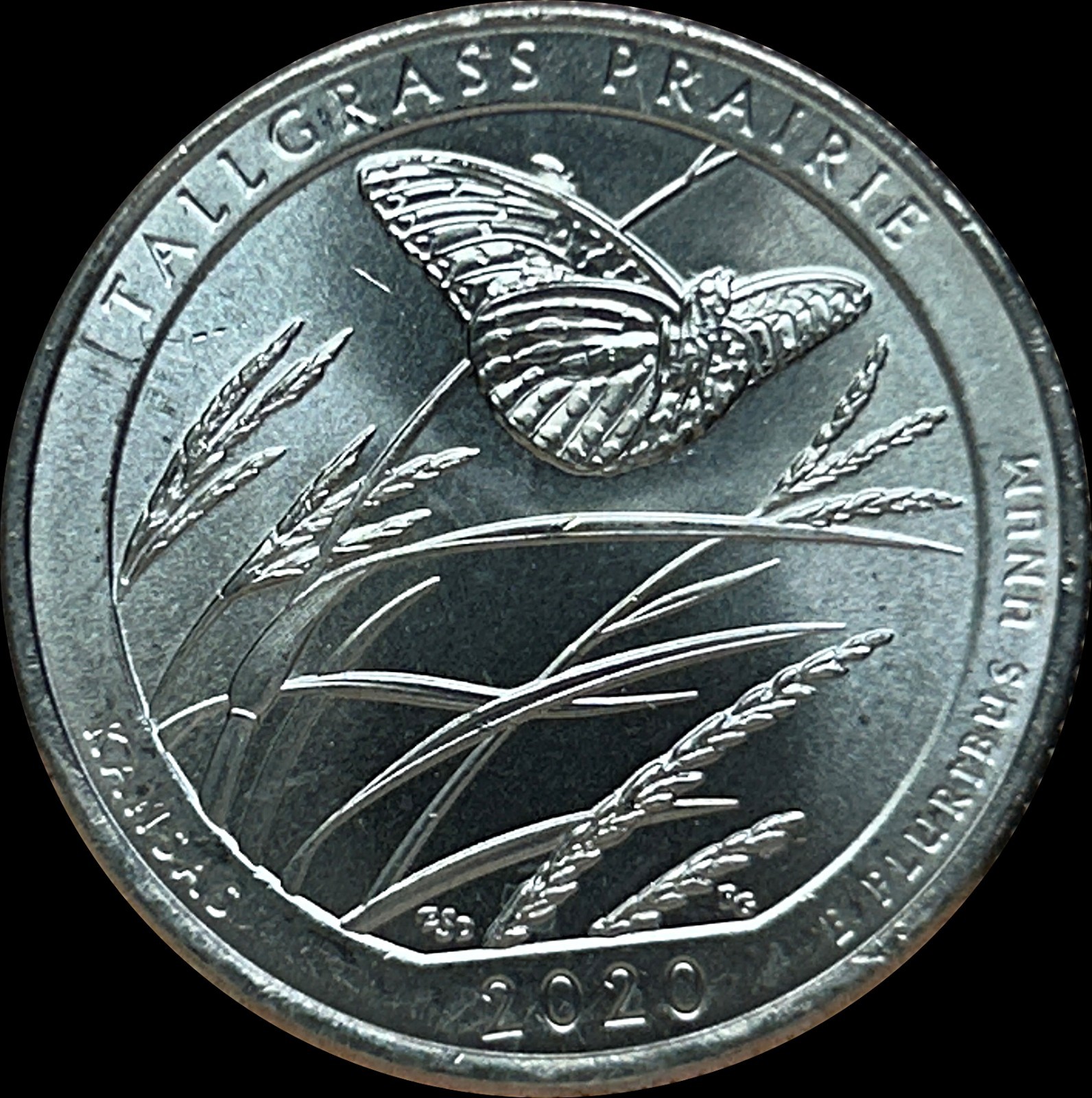 Die Chips Errors - 2020 Tallgrass Prairie ATB Quarter - On/Above Wings