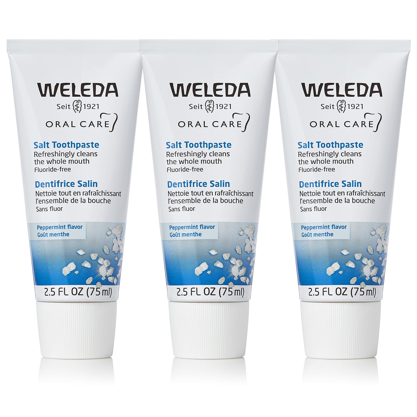 Weleda Natural Salt Toothpaste. 2.5 Fluid Fl Oz (Pack of 3), No Color
