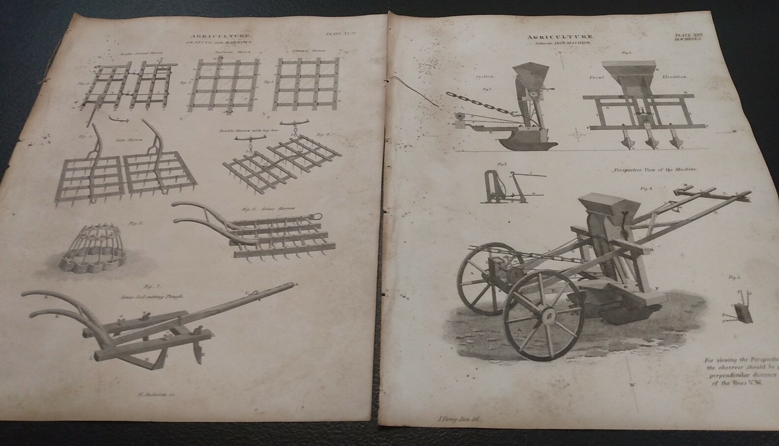 ANTIQUE medical anatomy Print  Plate 1840's  art 19th cent books art book Q1