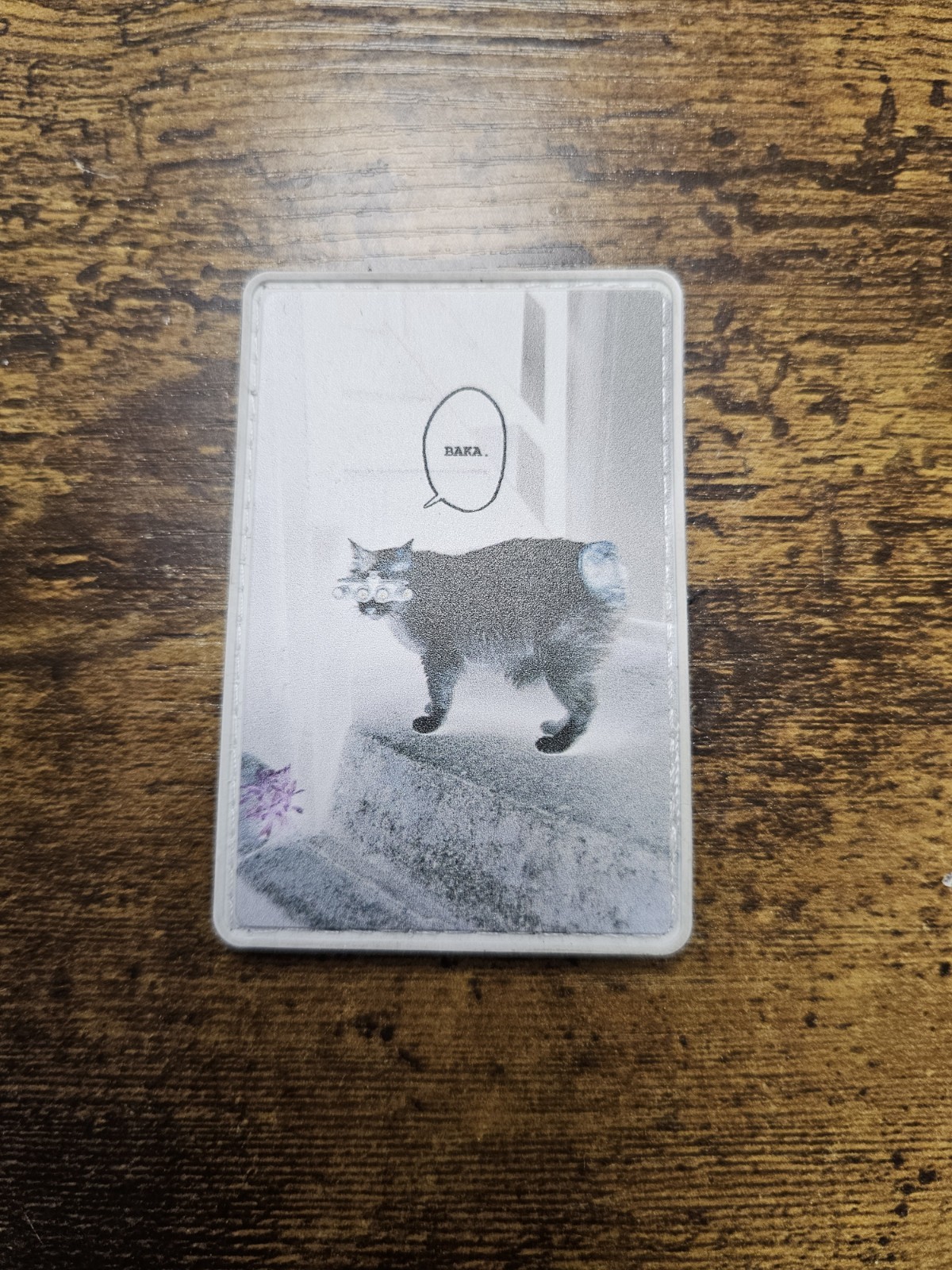 Baka cat patch from White Phosphor (2024 drop) Authentic (FOG, Supdef, Crime Co)
