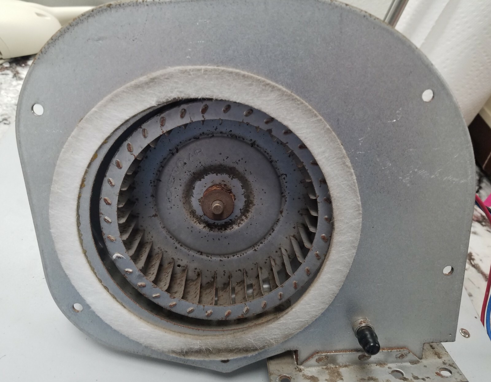 Hayward H-Series Combustion Blower, Pre-owned