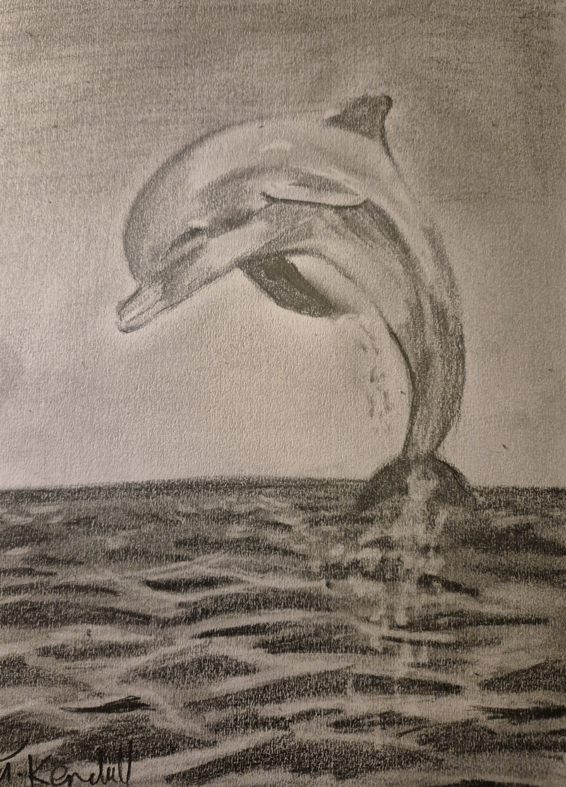 A4 Pencil Drawing Of A Dolphin Jumping Outbof The Ocean