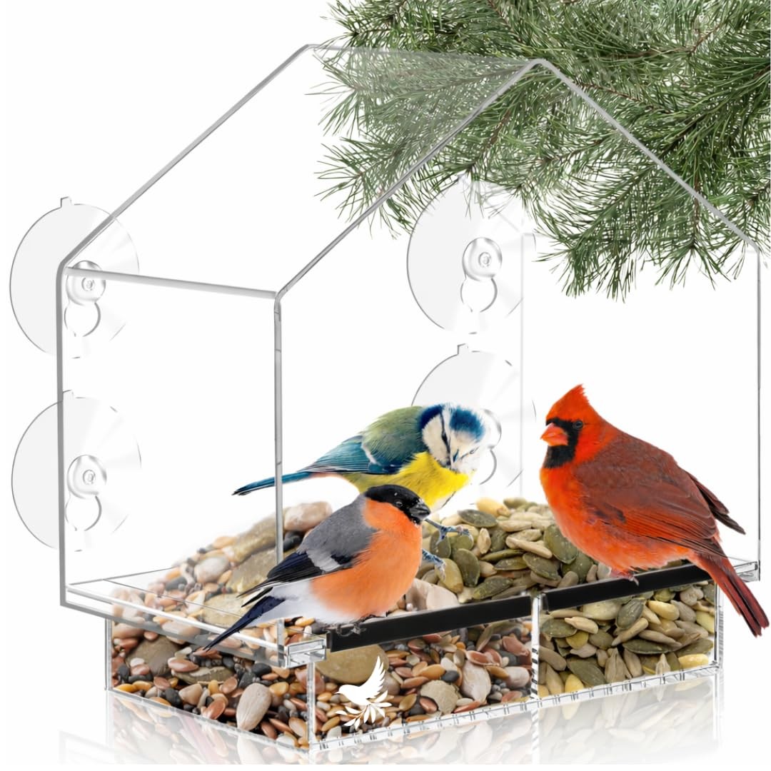 Window Bird Feeder with Strong Suction Cups, Clear 9 Inch,
