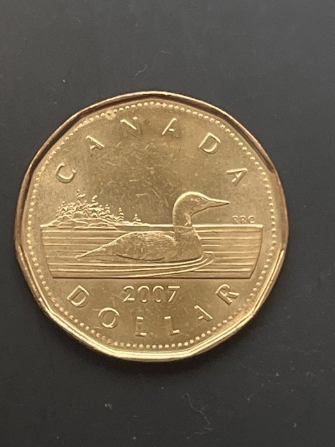 CANADA 2007 Loonie Loon $1 One Dollar from Royal Canadian Mint