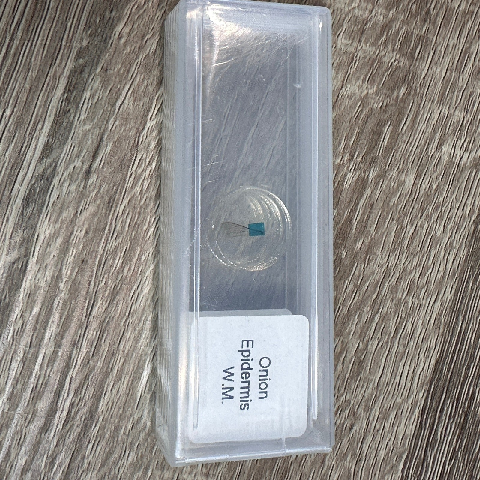 Microscope Prepared Slides Set 48pcs Educational Insect Plant Animal Specimens