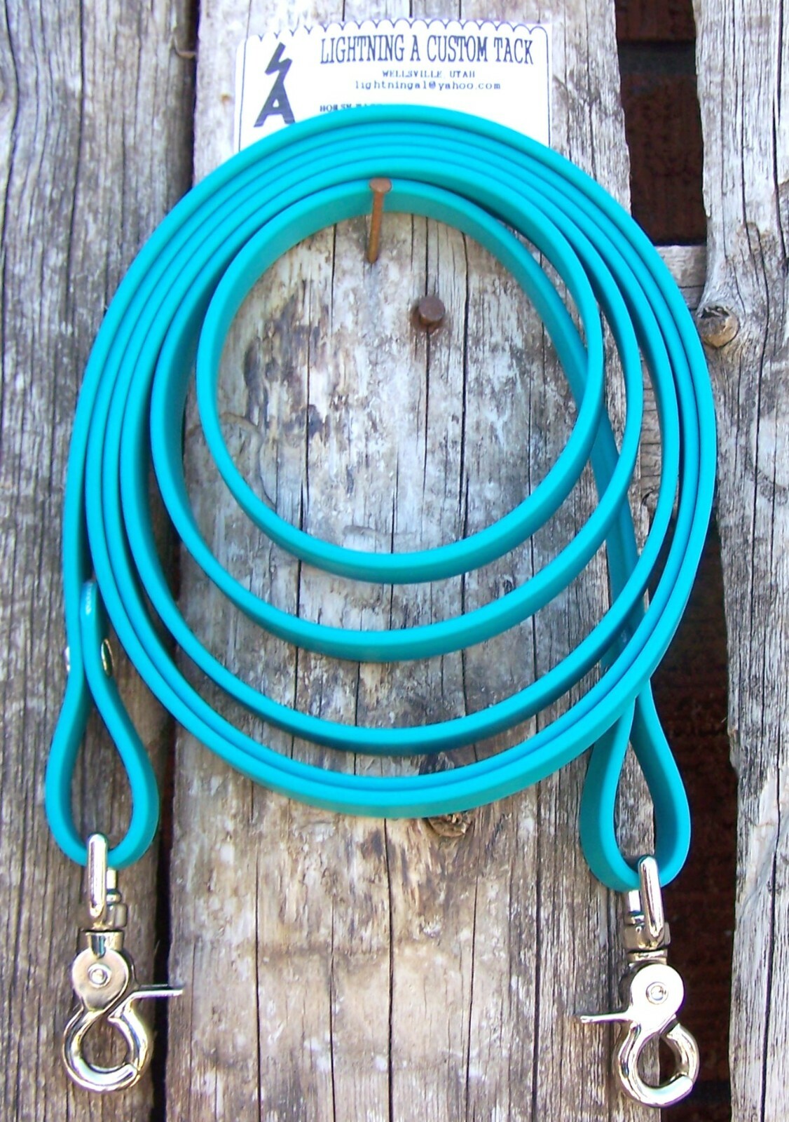 6' - 10' Reins Loop TEAL Beta Biothane Rein Barrel Roping Contest Minnie Pony