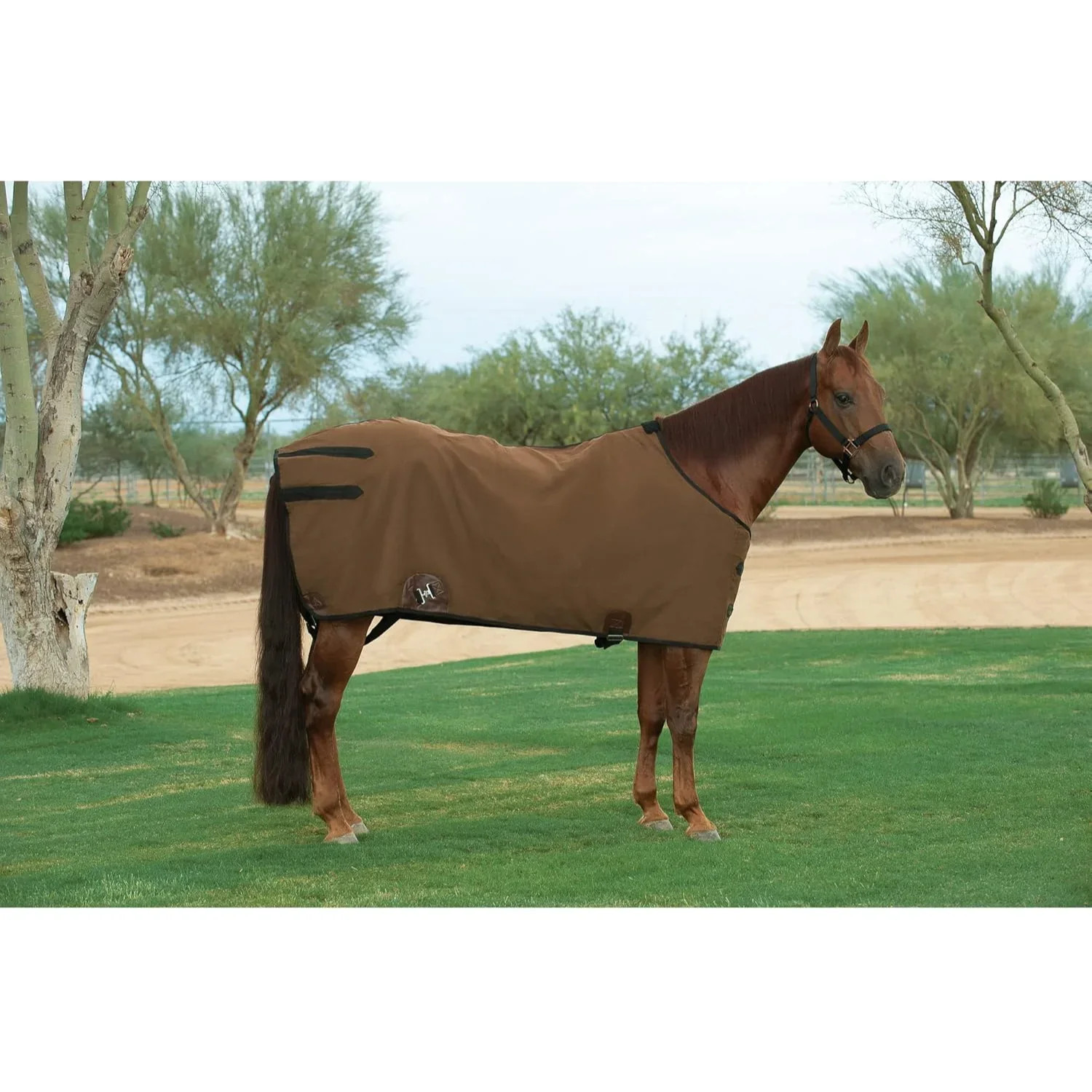 Weaver Leather Canvas Horse Blanket - 18oz Duck Canvas & Wool
