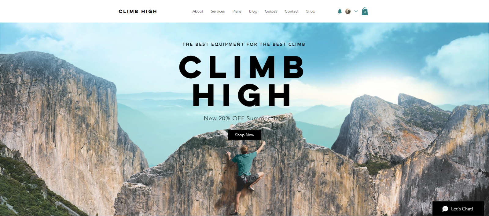 Wordpress Website Developer