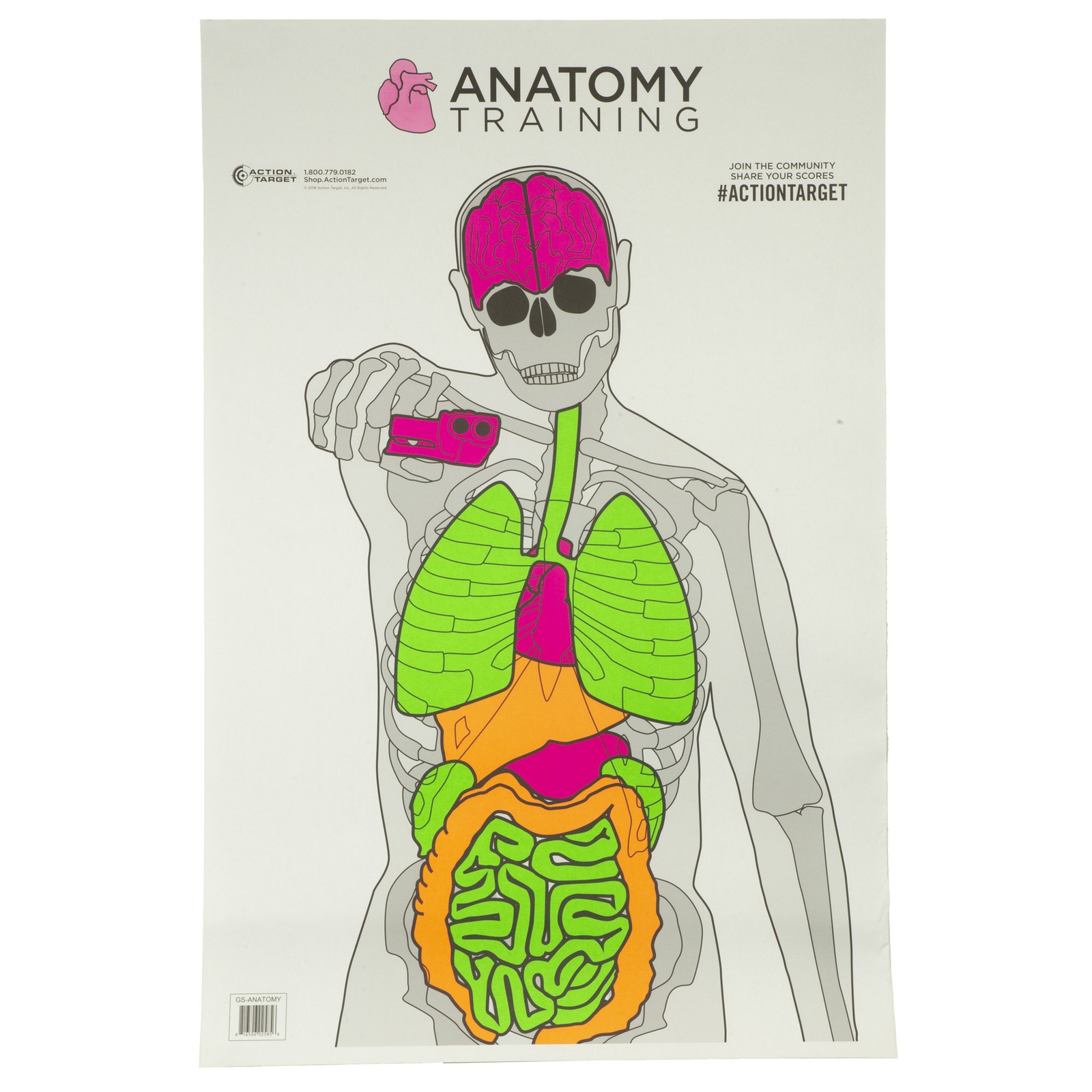 Action Target Anatomy Training Silhouette Target 23x35 100 Pack