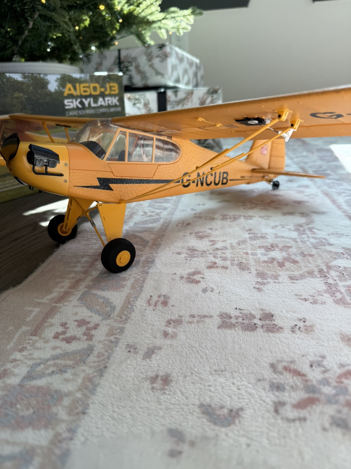 RC Cessna airplane