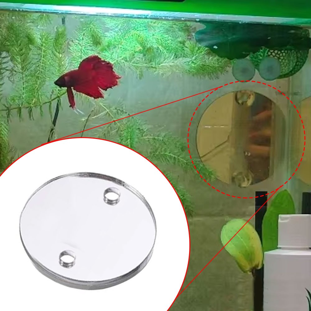 Acrylic Aquarium Betta Training Mirror Fish Exercise Mirror Fish Tank Ornaments