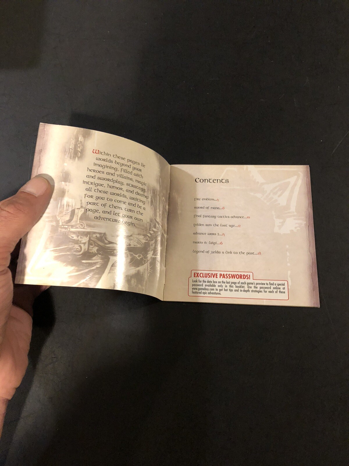 Nintendo gameboy advance journey is the beginning Insert