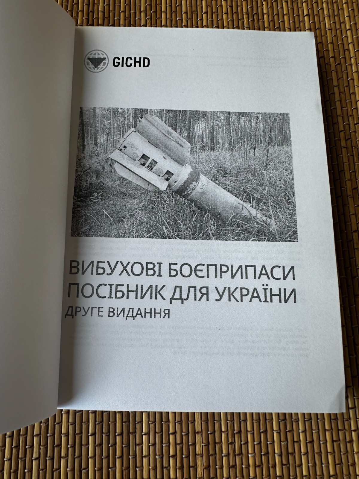 A Guide for Ukraine 2024