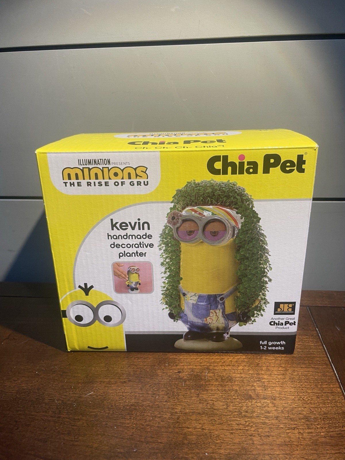 NEW Chia Pet Hippie Kevin Handmade Decorative Planter The Minions Rise of Gru