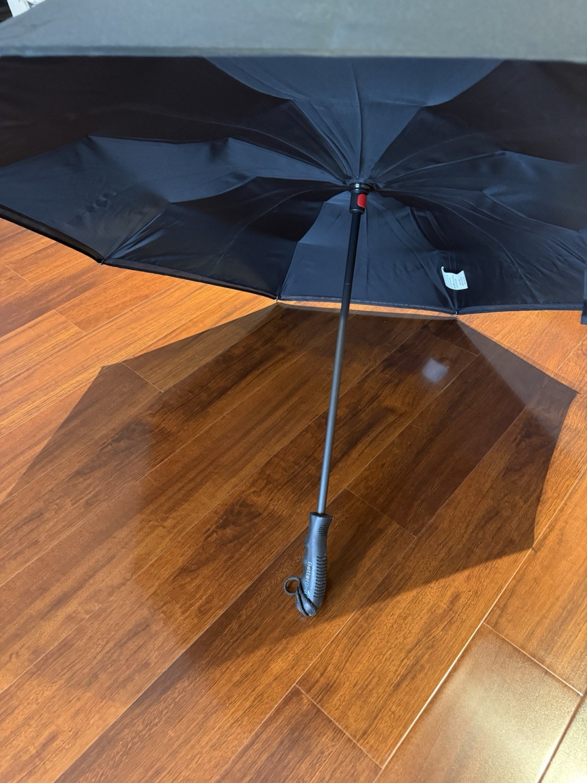 Umbrella inverted Reverse