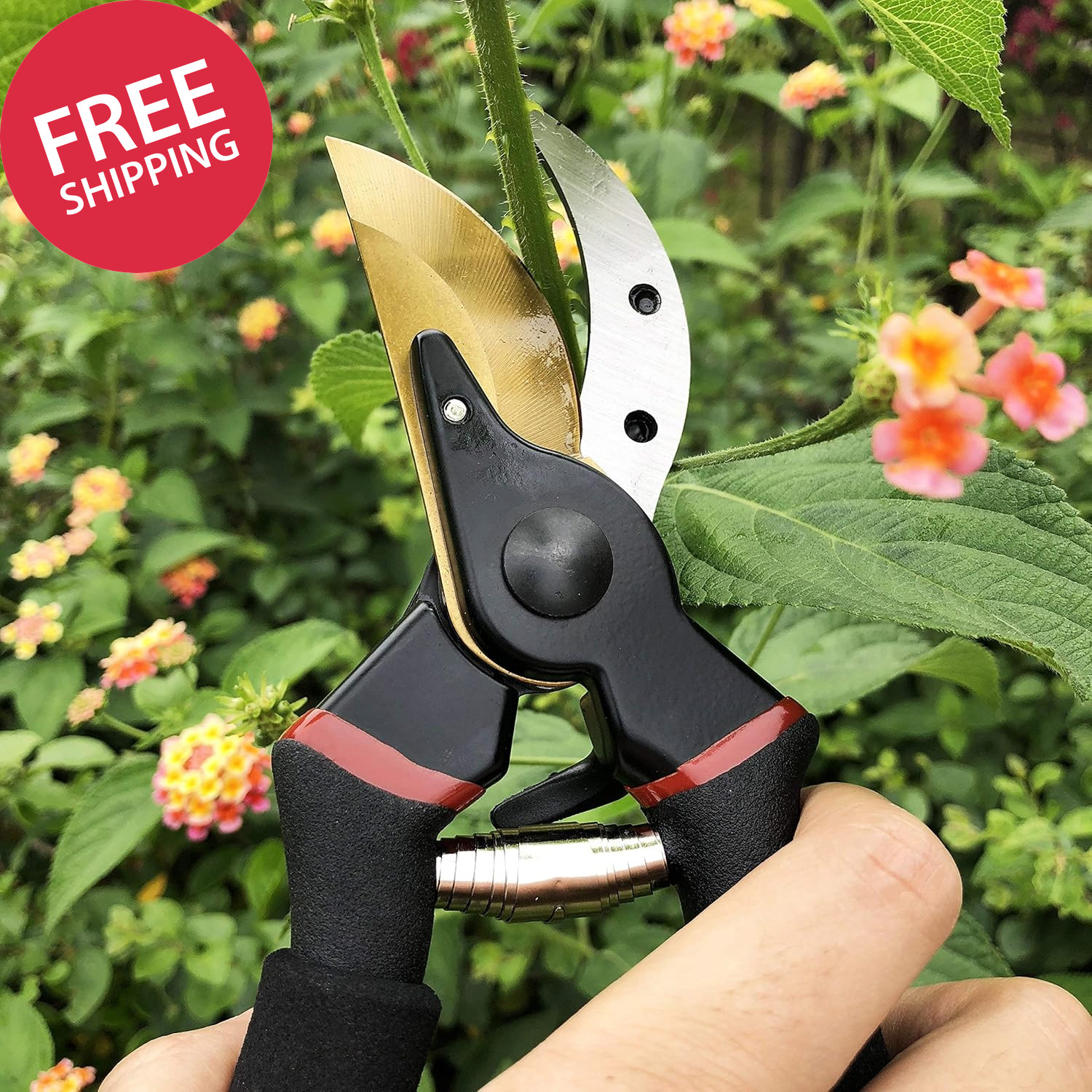 8" Professional Premium Titanium Bypass Pruning Shears (GPPS-1003), Hand Pruners