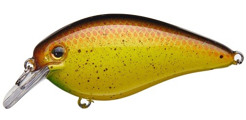 Strike King KVD 1.5 Square Bill Silent Crankbait- Bully