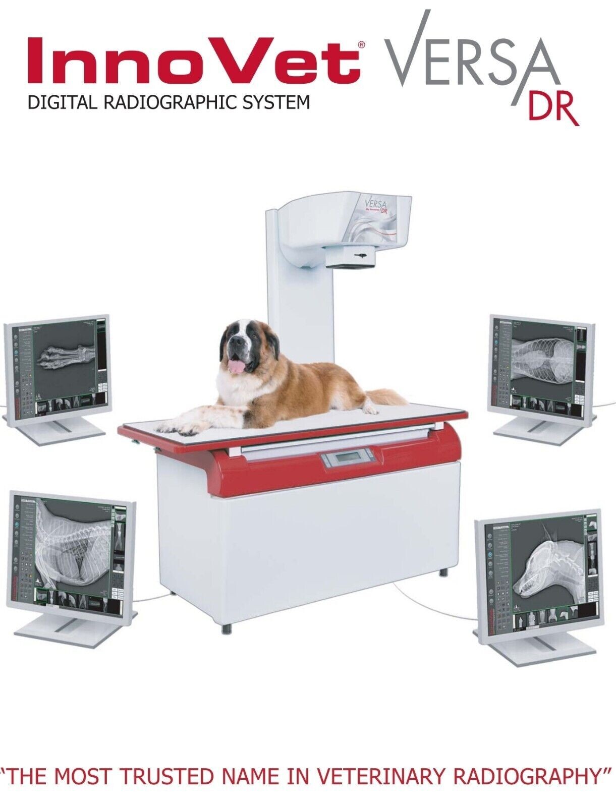 rayos x veterinary