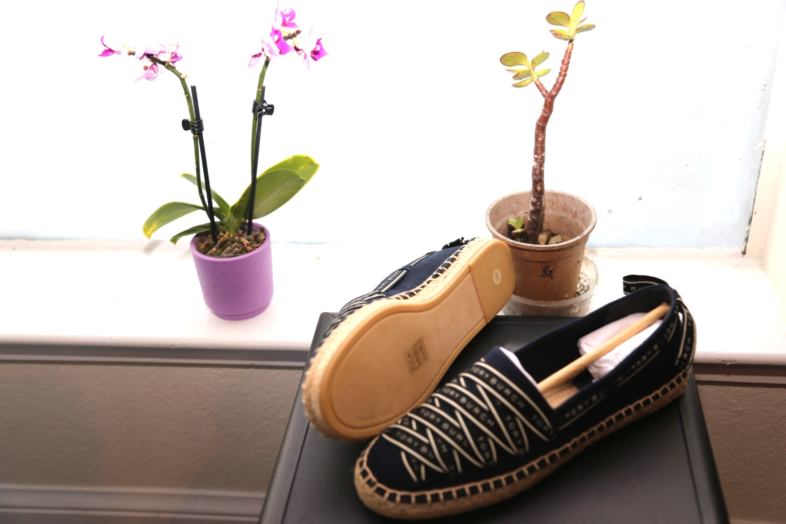 Authentic Tory Burch Ribbon Espadrille Olona It Canvas 7 Perfect Navy