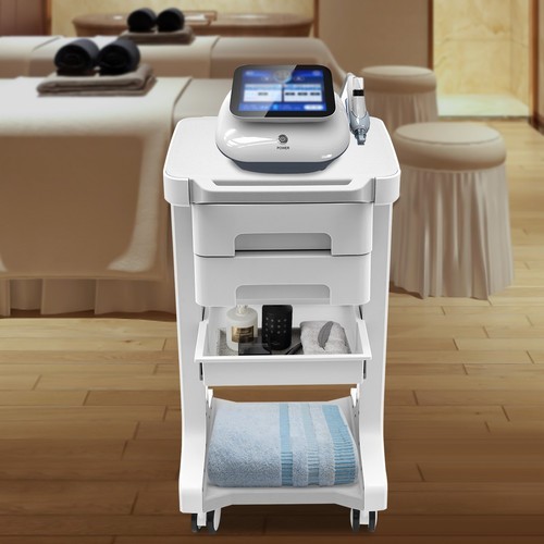 Beauty Salon Trolley Esthetician Cart Spa Rolling Equipment Storage Station