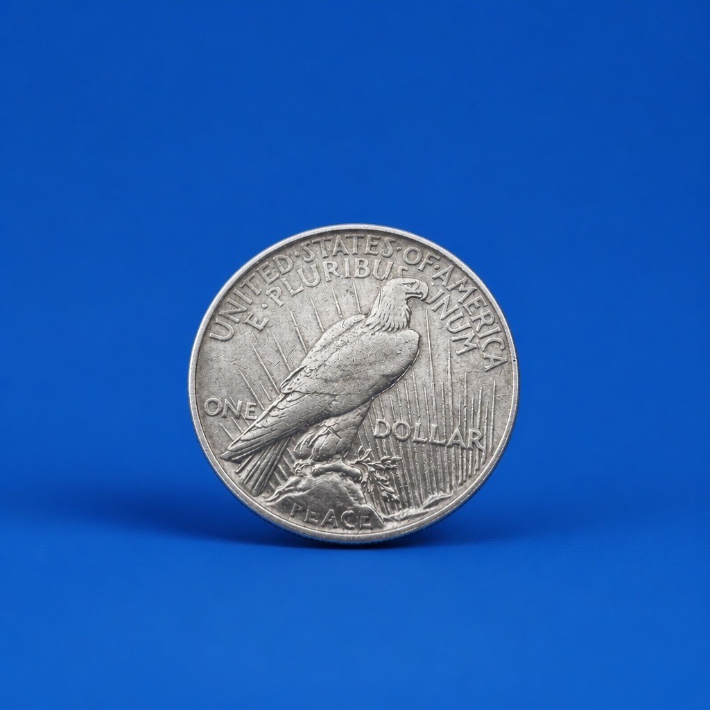 1922 U.S. Liberty Peace Silver Dollar