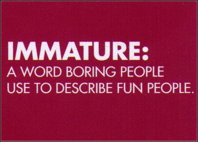 Immature Word To Describe Fun People Humor Hot Properties Magnet RM4776