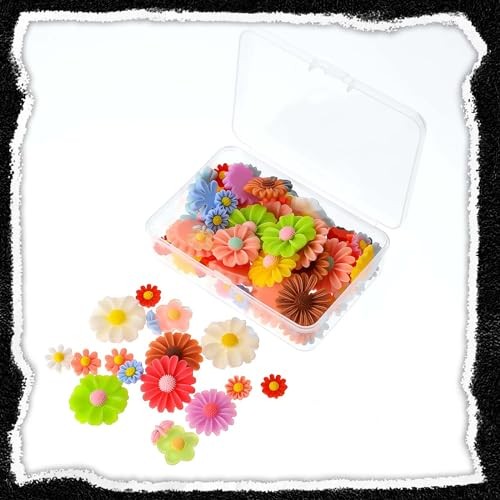 5 Pcs Mini Plastic Storage Containers Box with Lid, Small Storage Containers