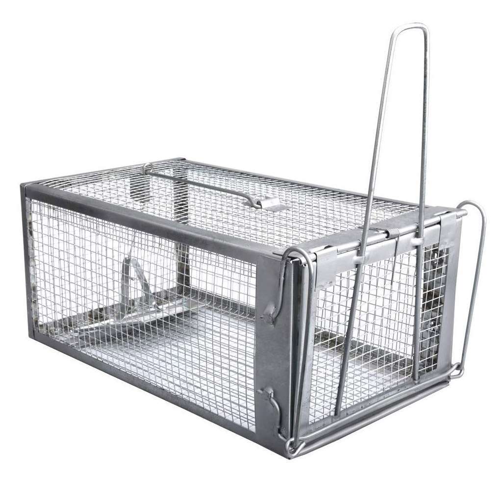 Humane Rat Trap Cage Small Live Animal Pest Rodent Mouse Control Catch Bait Trap