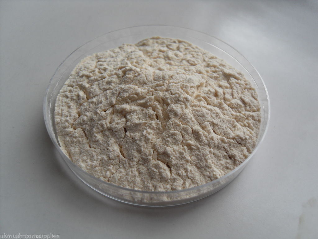 Soy Peptone Powder - Nutrient Rich Agar Additive For Mushroom Growing & Mycology