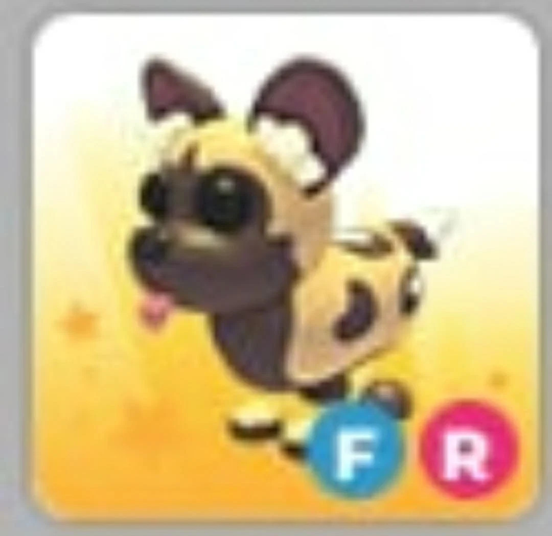 African Wild Dog | Adopt Now