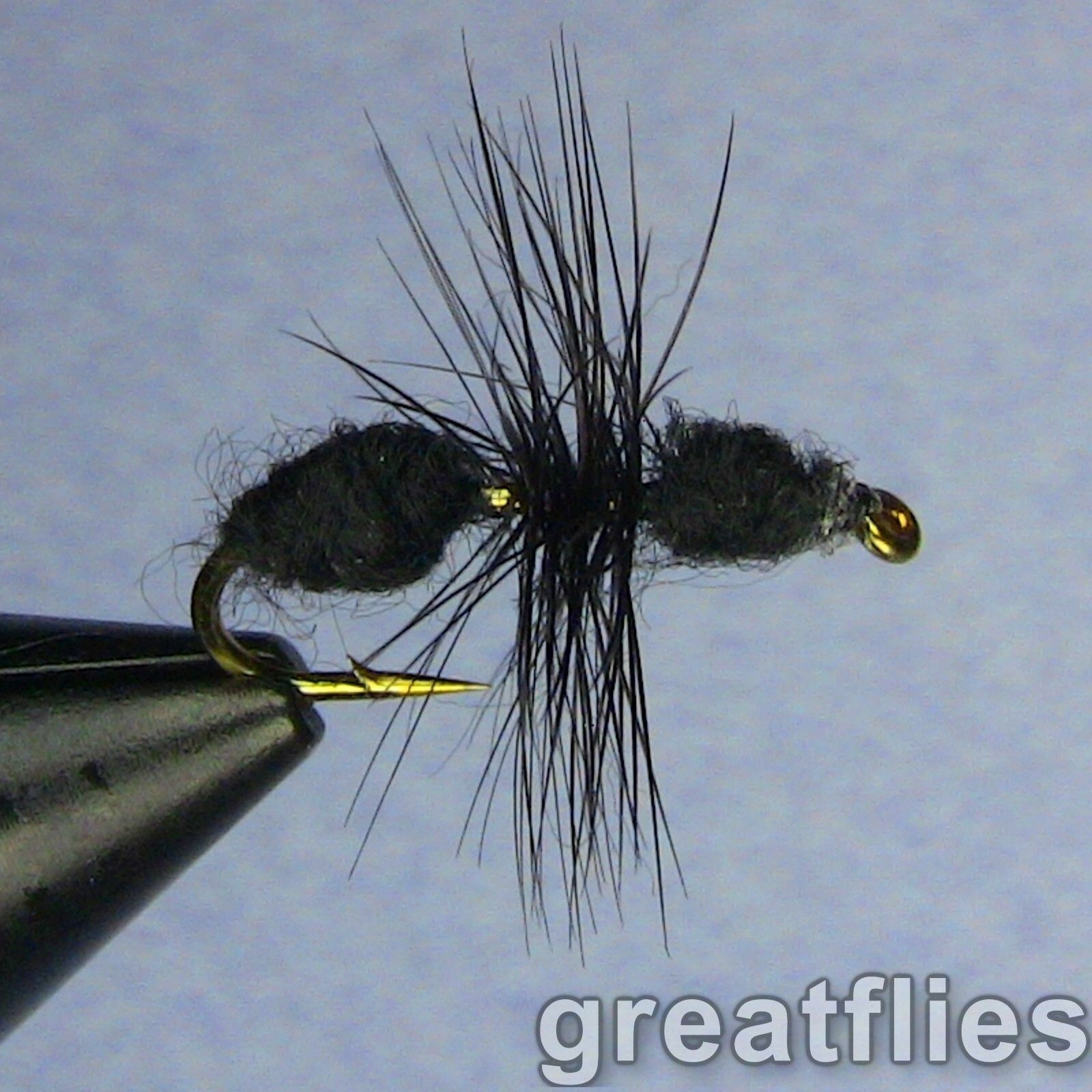 1 dozen (12) - Black Ant