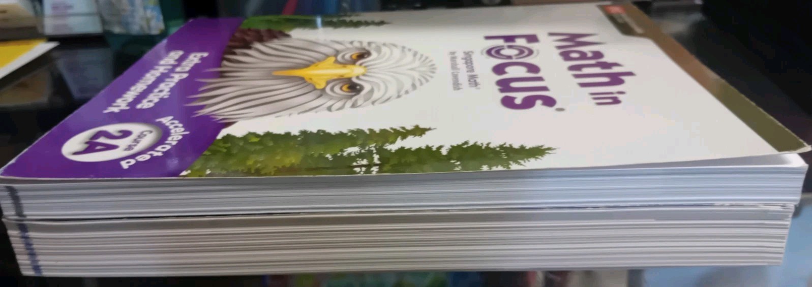 Lot Math in Focus Accelerated Course 2A Student + Extra Practice &Homework 2020
