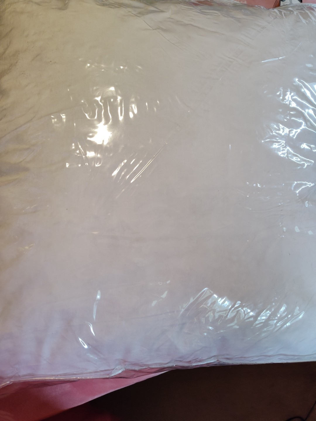 POTTERY BARN SHAM INSERT EURO 200 THREAD COUNT